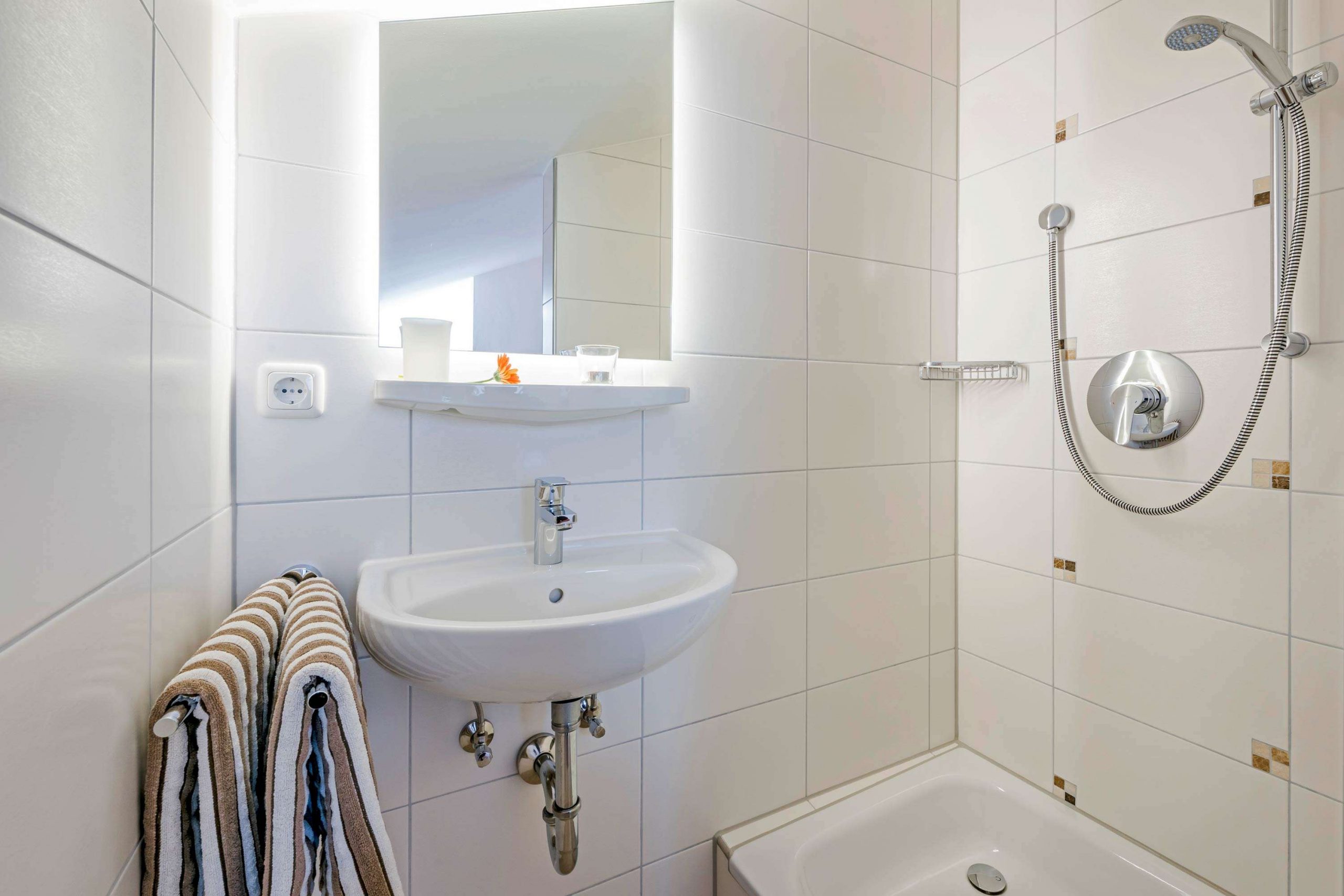 primel_EZ_12-stachl_04 primel ez 12 stachl 04